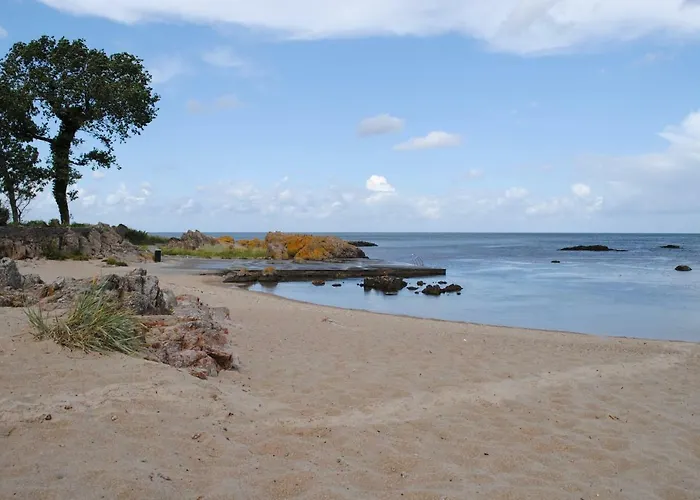 Aeblehaven База отдыха